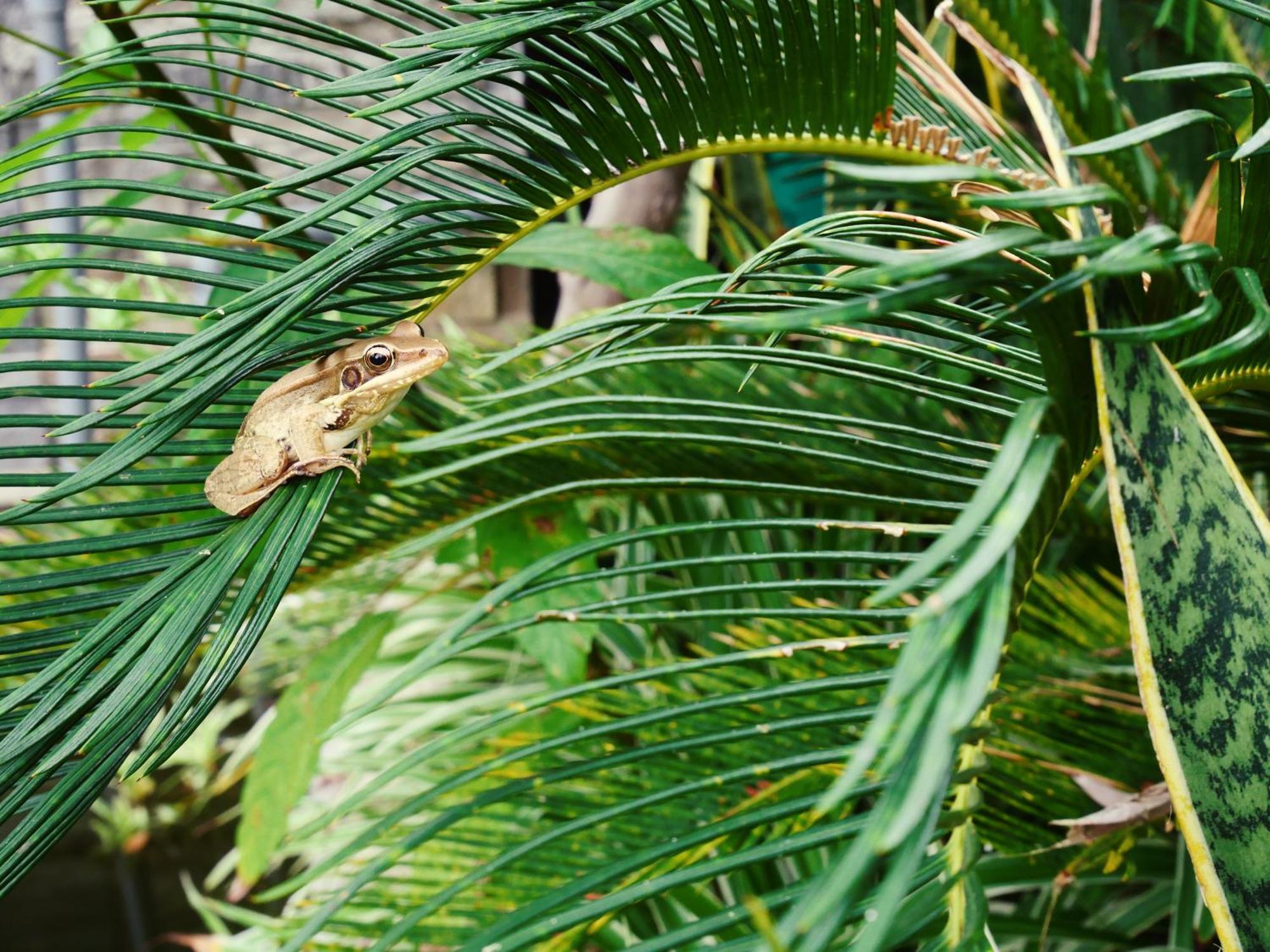 Yen Hidden Valley Cat Ba Island Ngoại thất bức ảnh